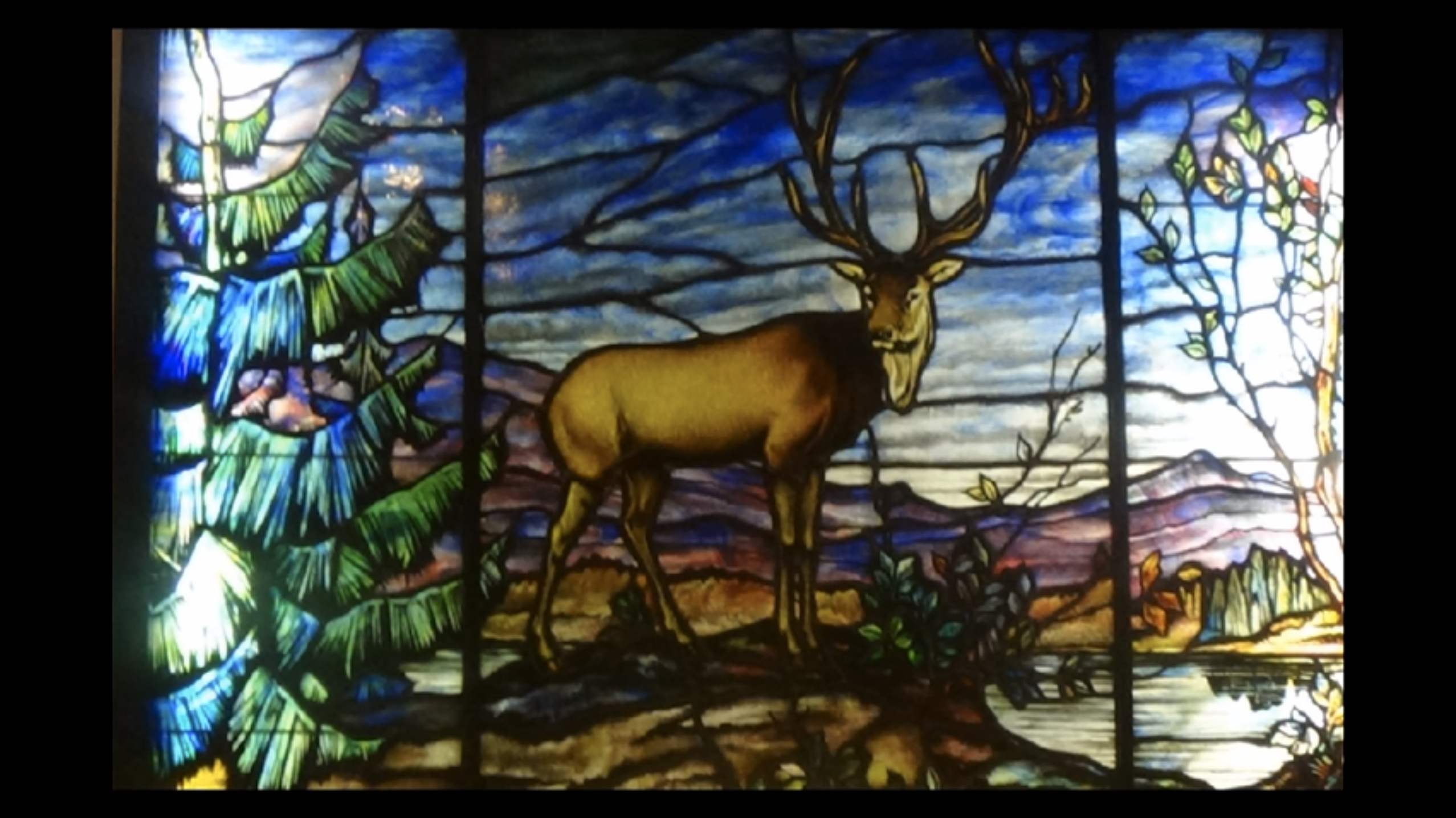 photo of the Elk stained glass window that is on display in lobby